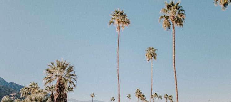 Exploring the Allure of Palm Springs Travel: A Comprehensive Guide